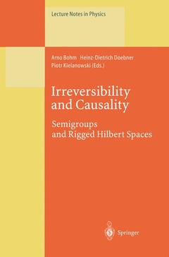 Couverture de l’ouvrage Irreversibility and Causality