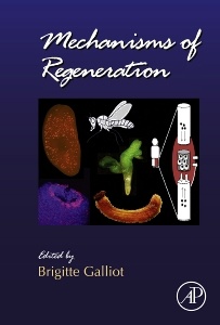 Cover of the book Mechanisms of Regeneration