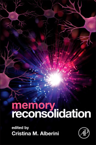 Cover of the book Memory Reconsolidation