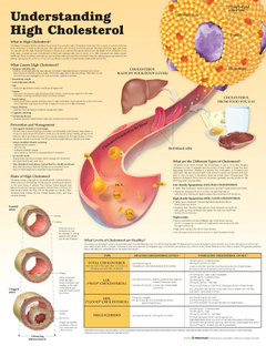 Cover of the book Understanding High Cholesterol Paper
