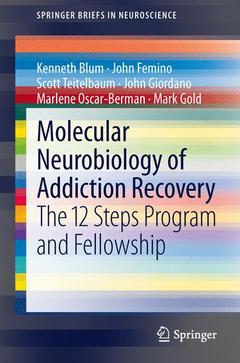 Cover of the book Molecular Neurobiology of Addiction Recovery