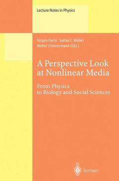 Couverture de l’ouvrage A Perspective Look at Nonlinear Media