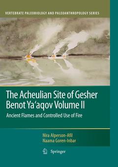 Cover of the book The Acheulian Site of Gesher Benot Ya’aqov Volume II