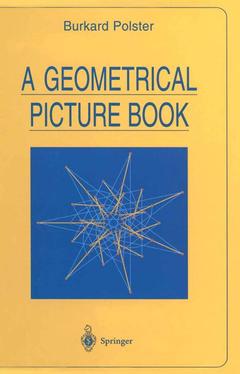 Couverture de l’ouvrage A Geometrical Picture Book