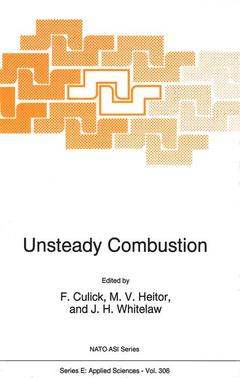 Couverture de l’ouvrage Unsteady Combustion