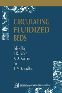Couverture de l’ouvrage Circulating Fluidized Beds