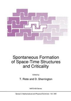 Couverture de l’ouvrage Spontaneous Formation of Space-Time Structures and Criticality