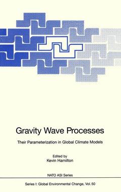 Couverture de l’ouvrage Gravity Wave Processes