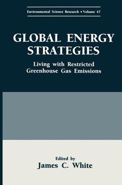 Cover of the book Global Energy Strategies