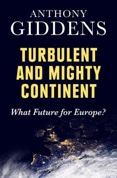 Cover of the book Turbulent and Mighty Continent