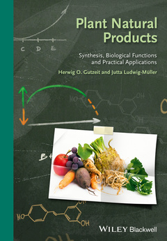 Cover of the book Plant Natural Products