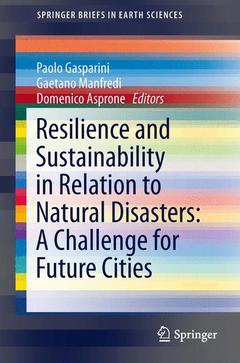 Cover of the book Resilience and Sustainability in Relation to Natural Disasters: A Challenge for Future Cities