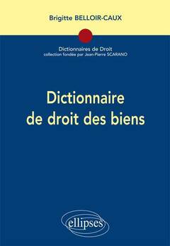 Cover of the book Dictionnaire de droit des biens