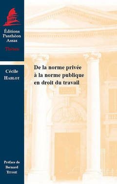 Cover of the book DE LA NORME PRIVÉE À LA NORME PUBLIQUE EN DROIT DU TRAVAIL