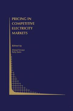 Couverture de l’ouvrage Pricing in Competitive Electricity Markets