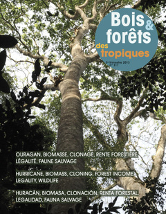 Couverture de l’ouvrage Bois et forêts des tropiques N° 317 - 3ème trimestre 2013