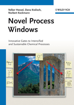Couverture de l’ouvrage Novel Process Windows
