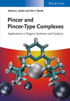 Couverture de l’ouvrage Pincer and Pincer-Type Complexes