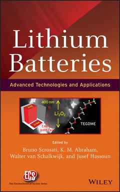 Cover of the book Lithium Batteries