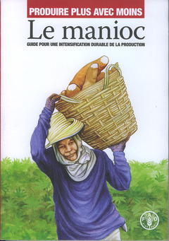 Cover of the book Produire plus avec moins 