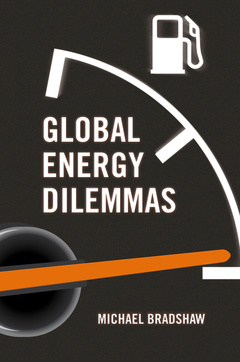 Couverture de l’ouvrage Global Energy Dilemmas