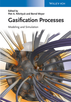 Cover of the book Gasification Processes