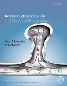 Couverture de l’ouvrage From Molecules to Networks