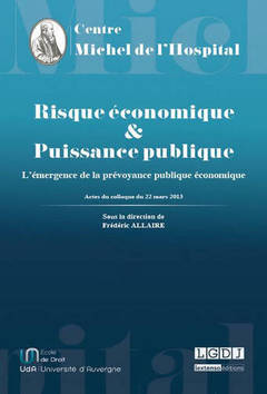 Cover of the book RISQUE ÉCONOMIQUE ET PUISSANCE PUBLIQUE