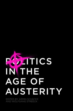 Couverture de l’ouvrage Politics in the Age of Austerity