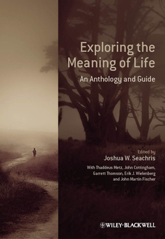 Cover of the book Exploring the Meaning of Life