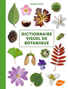 Couverture de l’ouvrage Dictionnaire visuel de botanique