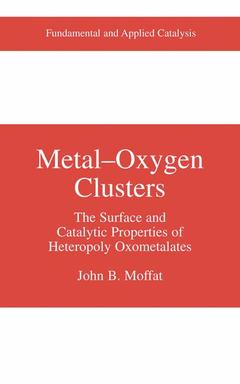 Couverture de l’ouvrage Metal-Oxygen Clusters