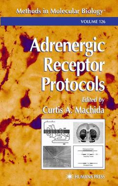 Couverture de l’ouvrage Adrenergic Receptor Protocols