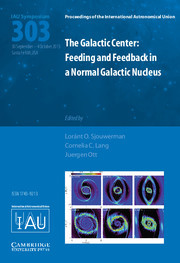 Cover of the book The Galactic Center (IAU S303)