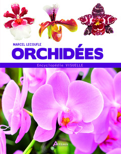 Cover of the book Orchidées