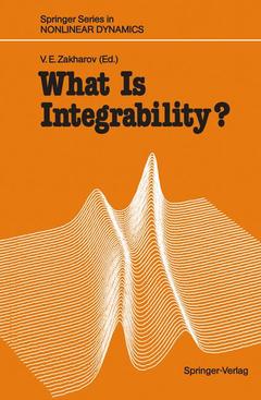 Couverture de l’ouvrage What Is Integrability?