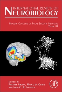 Cover of the book Modern Concepts of Focal Epileptic Networks