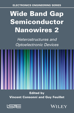 Cover of the book Wide Band Gap Semiconductor Nanowires 2