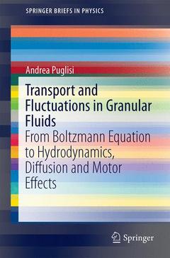 Couverture de l’ouvrage Transport and Fluctuations in Granular Fluids