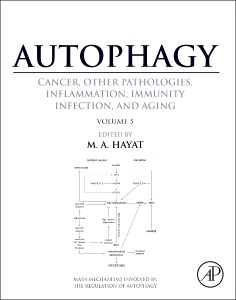 Cover of the book Autophagy: Cancer, Other Pathologies, Inflammation, Immunity, Infection, and Aging