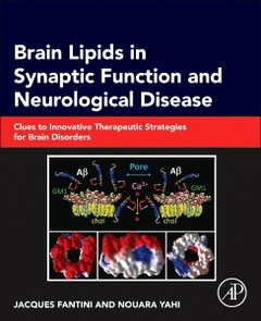 Couverture de l’ouvrage Brain Lipids in Synaptic Function and Neurological Disease