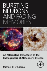 Cover of the book Bursting Neurons and Fading Memories