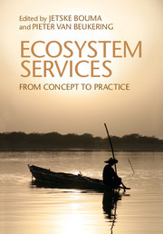 Cover of the book Ecosystem Services