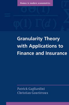 Couverture de l’ouvrage Granularity Theory with Applications to Finance and Insurance