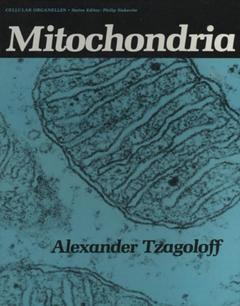 Couverture de l’ouvrage Mitochondria