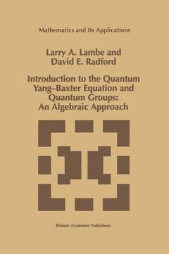 Couverture de l’ouvrage Introduction to the Quantum Yang-Baxter Equation and Quantum Groups: An Algebraic Approach