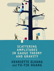 Cover of the book Scattering Amplitudes in Gauge Theory and Gravity