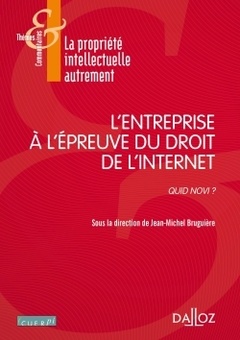 Couverture de l’ouvrage L'entreprise à l'épreuve du droit de l'Internet - Quid novi ?