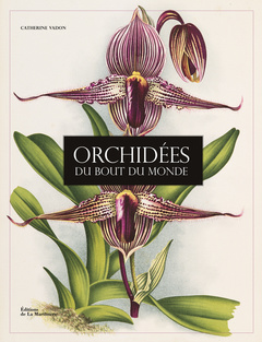 Couverture de l’ouvrage Orchidées du bout du monde