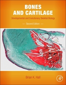 Couverture de l’ouvrage Bones and Cartilage